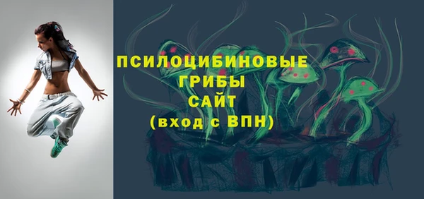 ПСИЛОЦИБИНОВЫЕ ГРИБЫ Беломорск