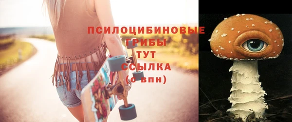 винт Корсаков