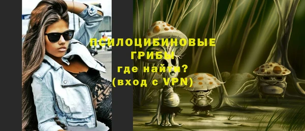 ПСИЛОЦИБИНОВЫЕ ГРИБЫ Беломорск