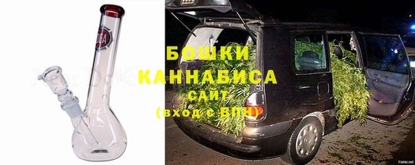 эйфоретик Белокуриха